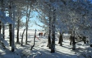 Trail Blanc du Sancy