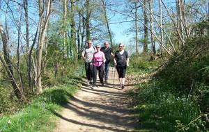 Marche Nordique et convivialité