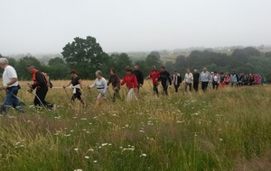 Sortie "marche nordique " de fin de saison.