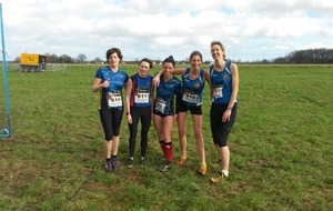 Départementaux de cross à St Sylvain