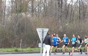 Nuaillé 2016 - 8 Kms nature et semi marathon