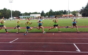 Moisson de record au meeting des Mauges