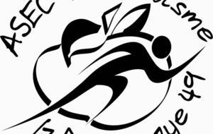 ASSEMBLEES GENERALES ORDINAIRE ET EXTRA ORDINAIRE