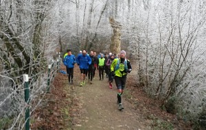 Entrainements cross de fin d'année...pour bien préparer 2017 !