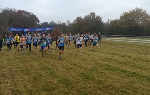 CROSS DE VILLEMOISAN