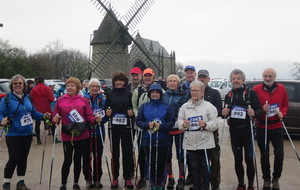 Sortie Marche nordique Monts des Alouettes