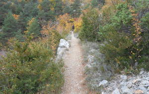 5632fd8894b77_Templiers2015011.jpg