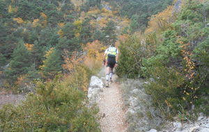 5632fd917eb94_Templiers2015012.jpg