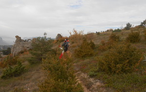 5632fd9a6b9c2_Templiers2015013.jpg