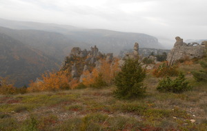 5632fda3233a4_Templiers2015014.jpg