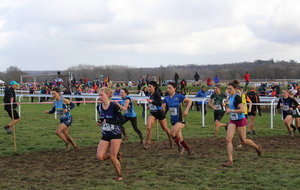 56c3988901856_IMG9679.JPG