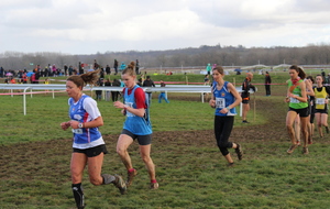 56c398a701153_IMG9680.JPG