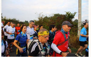 5803d6463a215_3.jpg
