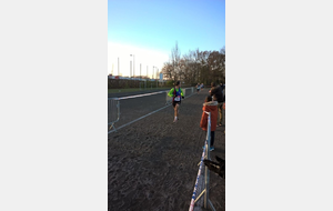 5844476b8f450_CROSSSEGRE201637.jpg