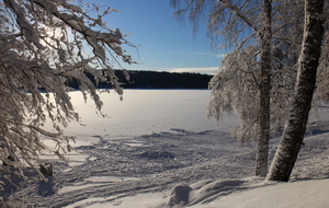 58767affaf2cc_IMG4204.JPG