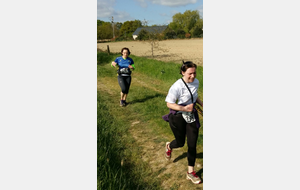 5910aedb2b426_201704161044451.jpg