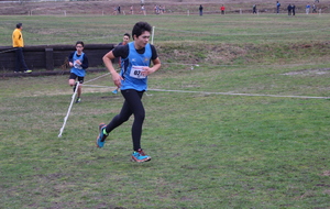 5c3fb778e894e_IMG9969.JPG