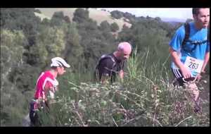 Trail des Moulins 2014-32km.