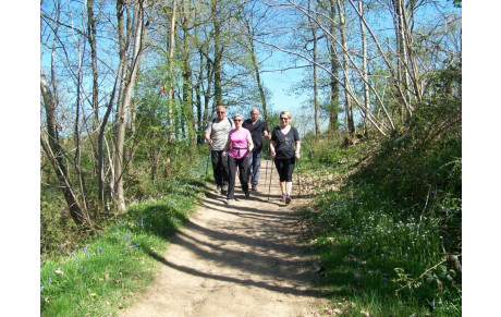 Marche Nordique et convivialité