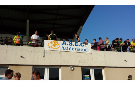 Ekiden Loire Layon - 7 septembre 2014