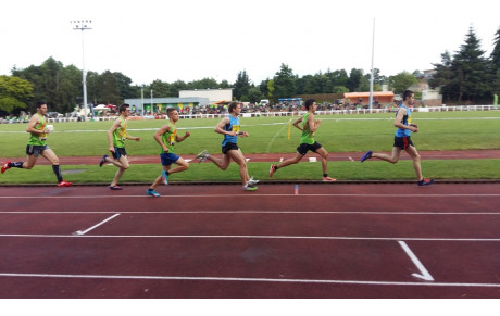 Moisson de record au meeting des Mauges